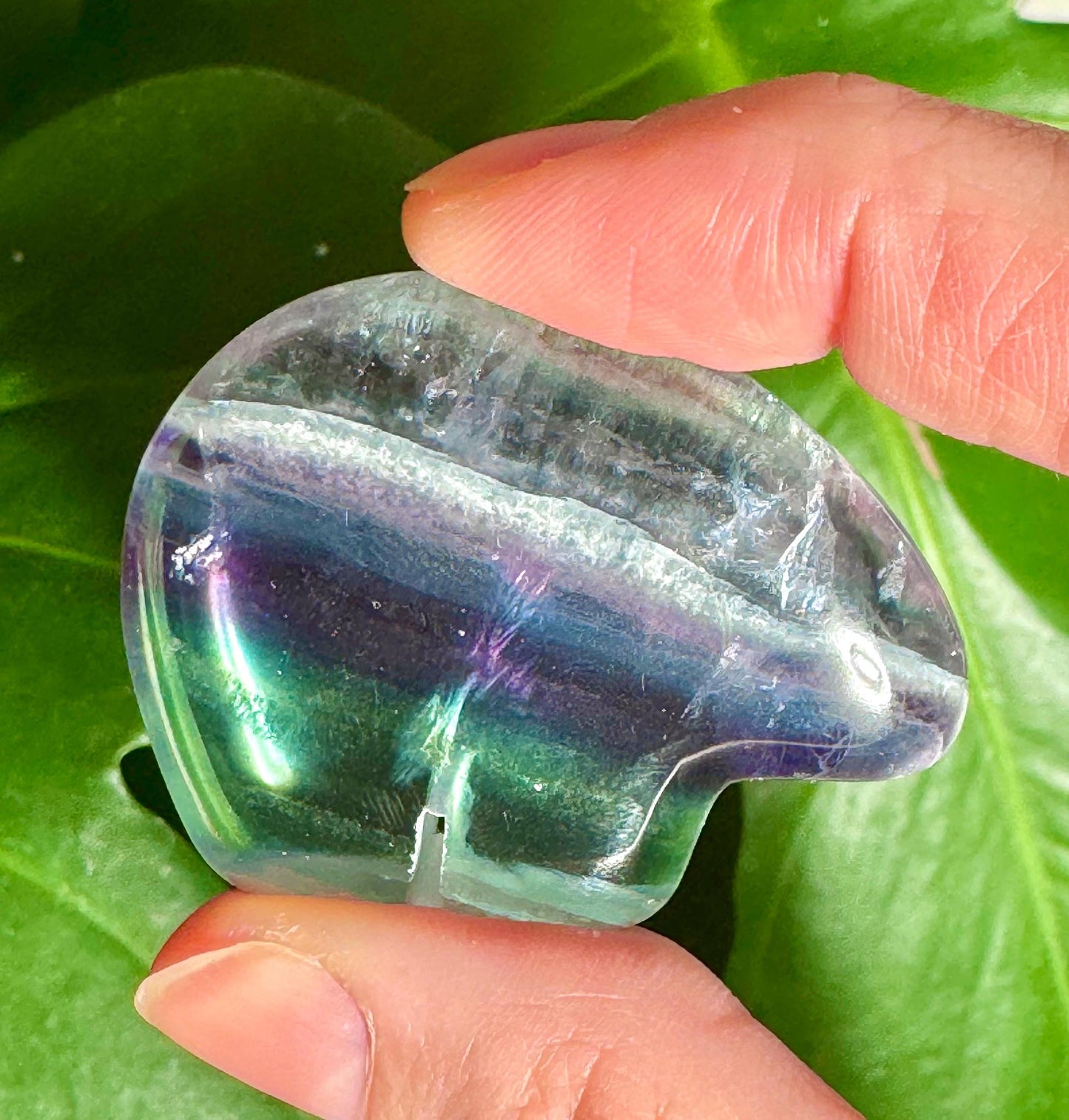 Mexican Fluorite Handcarved Mini Bear Zuni Totem Animal Carving