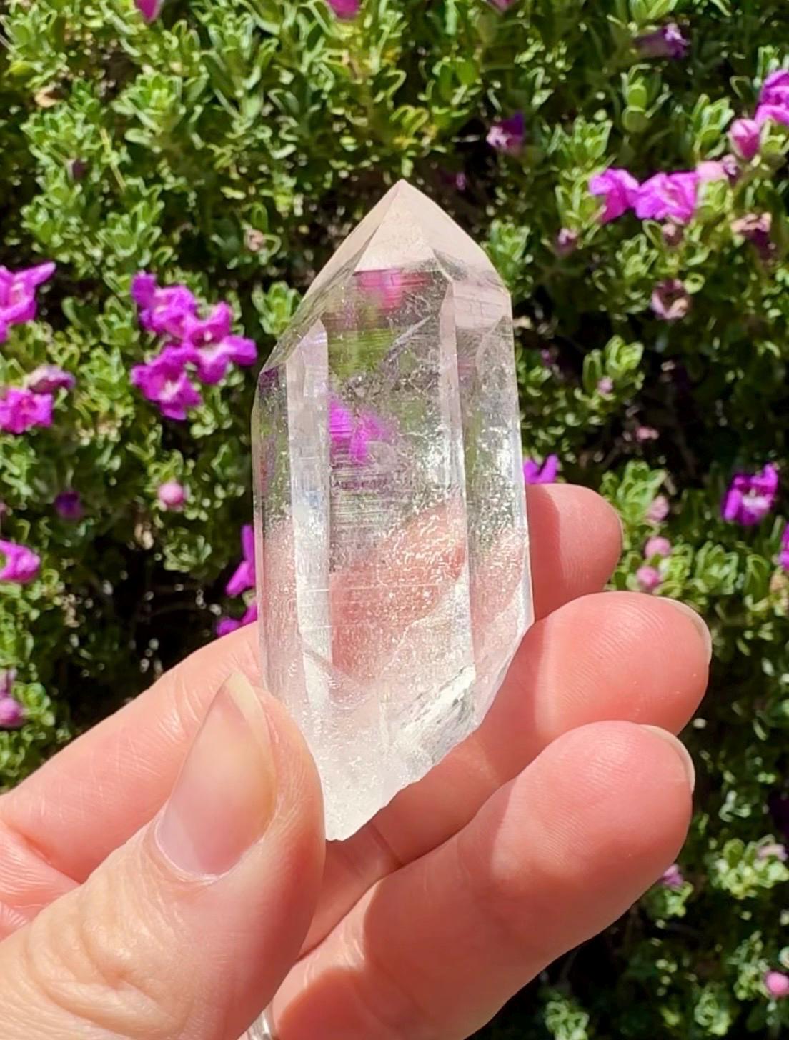 High Quality Colombian Lemurian