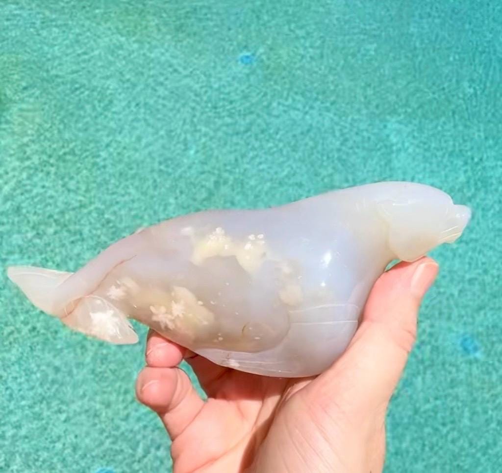 Flower Agate Sea Lion, Flower Agate Seal Carving