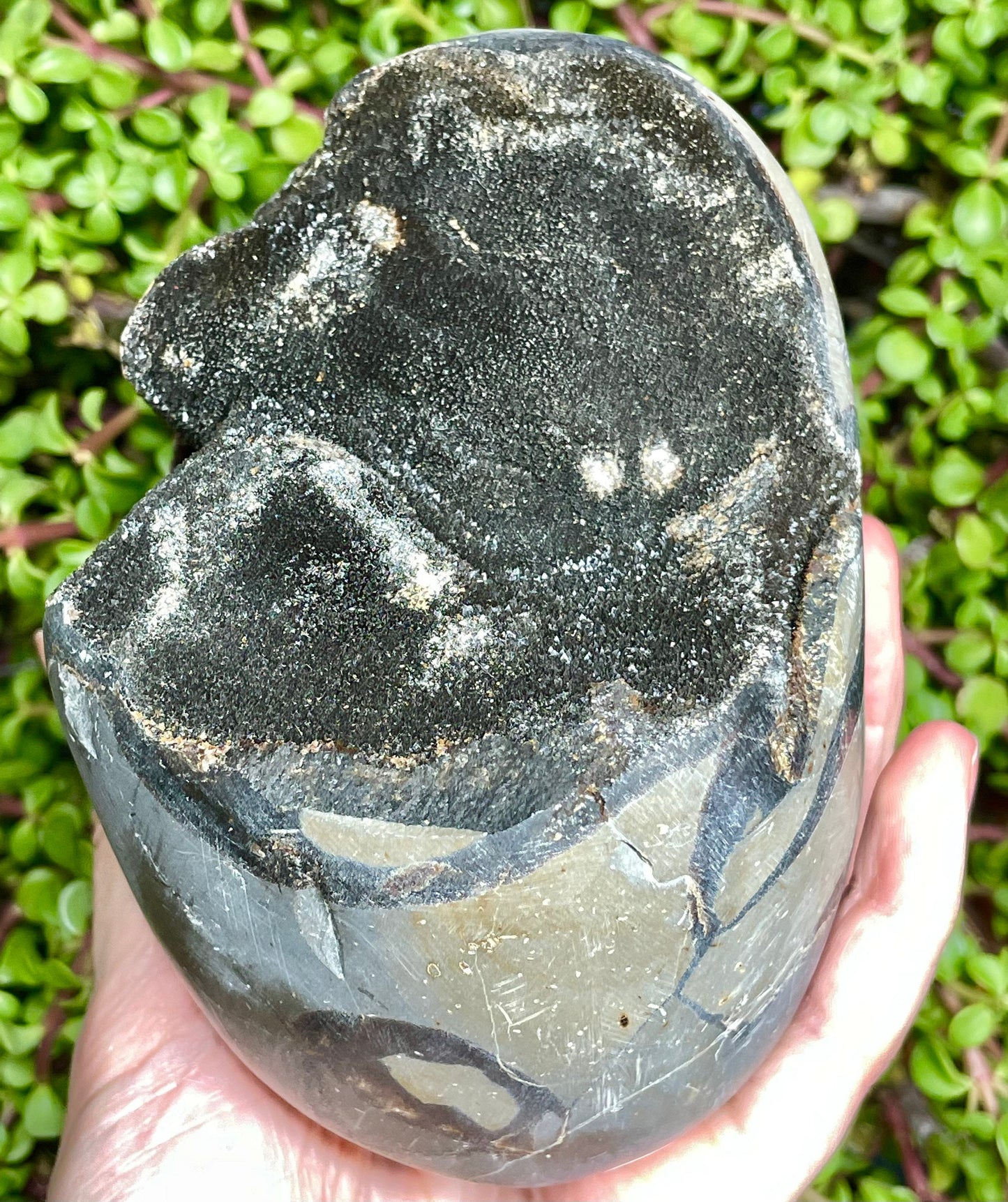 Druzy Septarian Egg