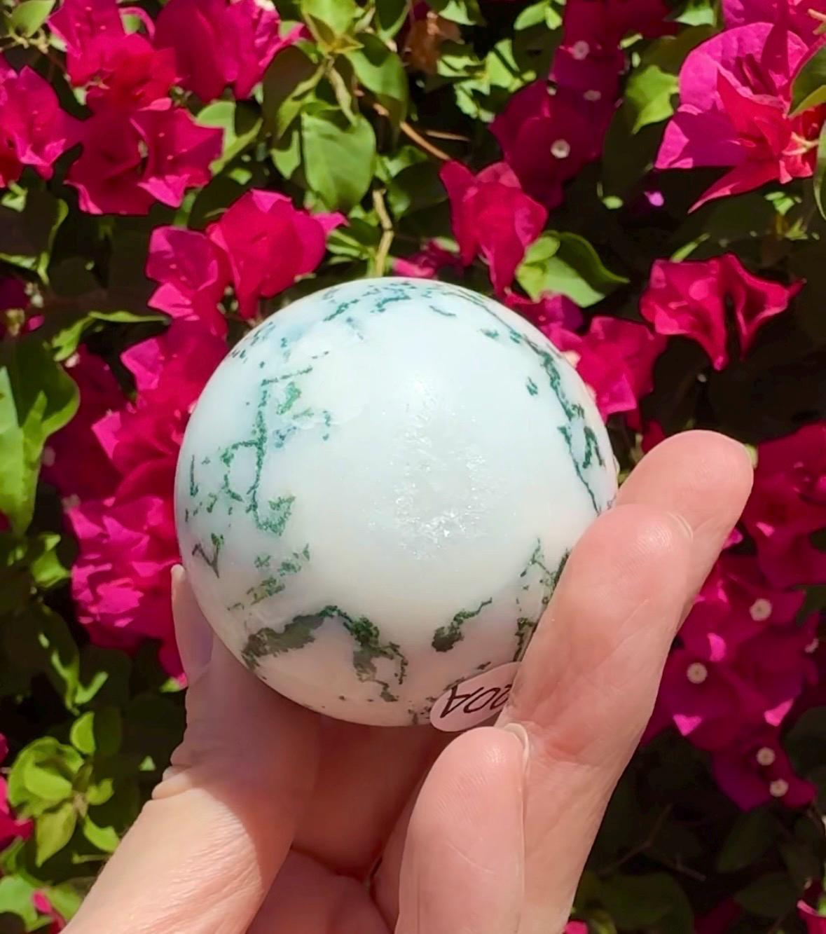 Tree Agate Sphere Crystal Ball