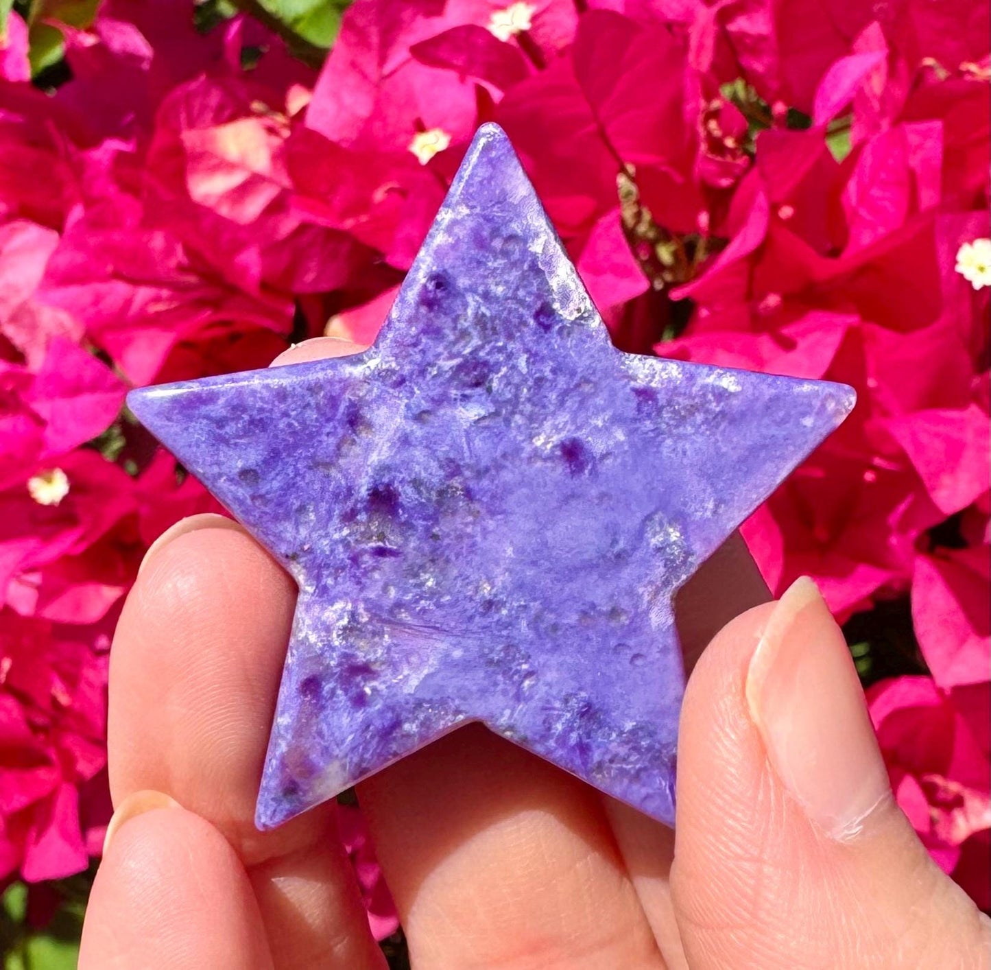 Rare Charoite Star