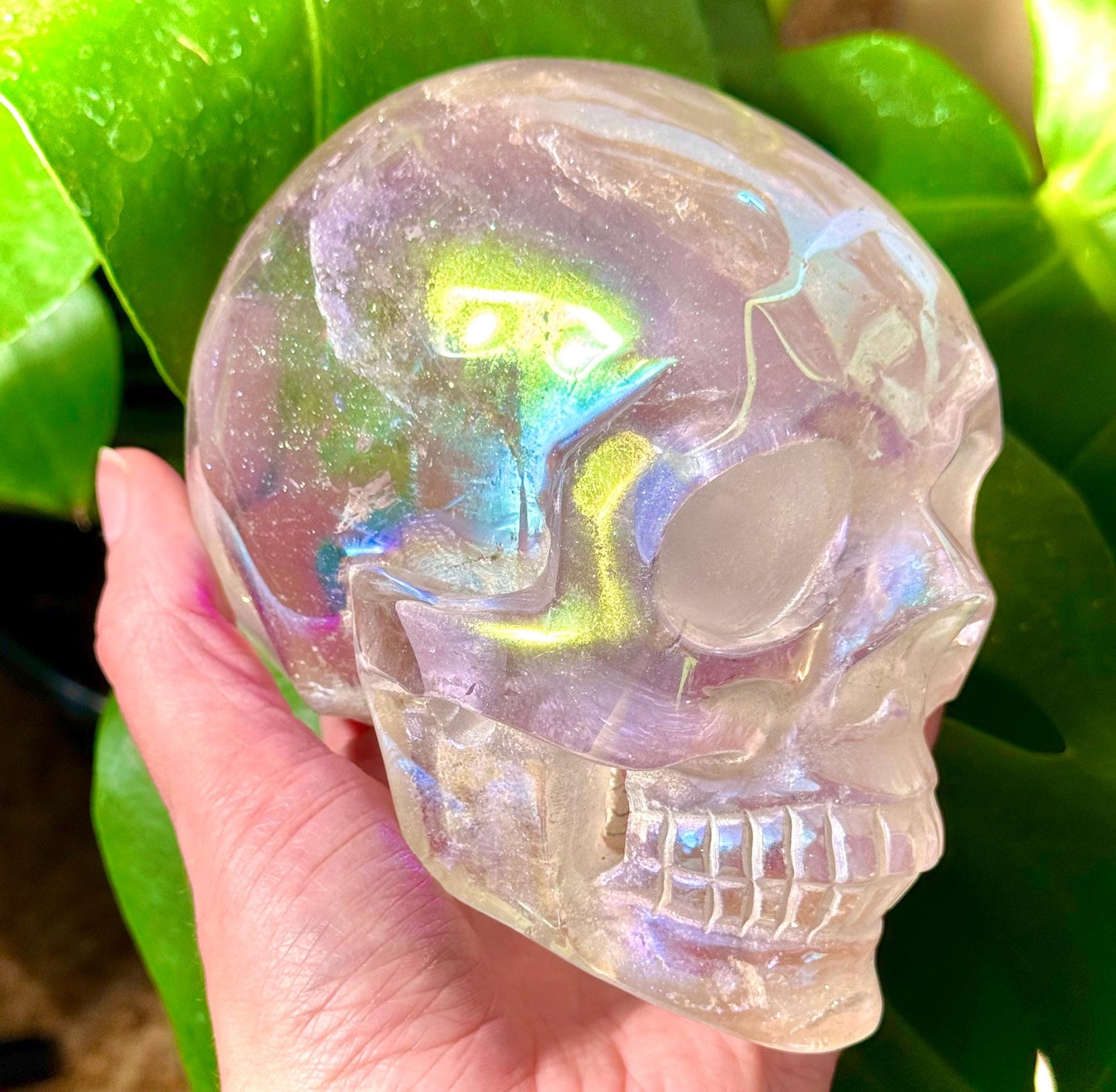 Stunning Angel Aura Clear Quartz Skull