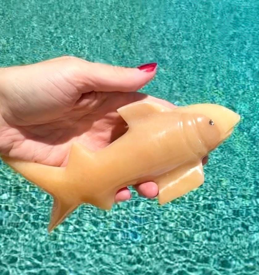 Onyx Shark Carving From Mexico