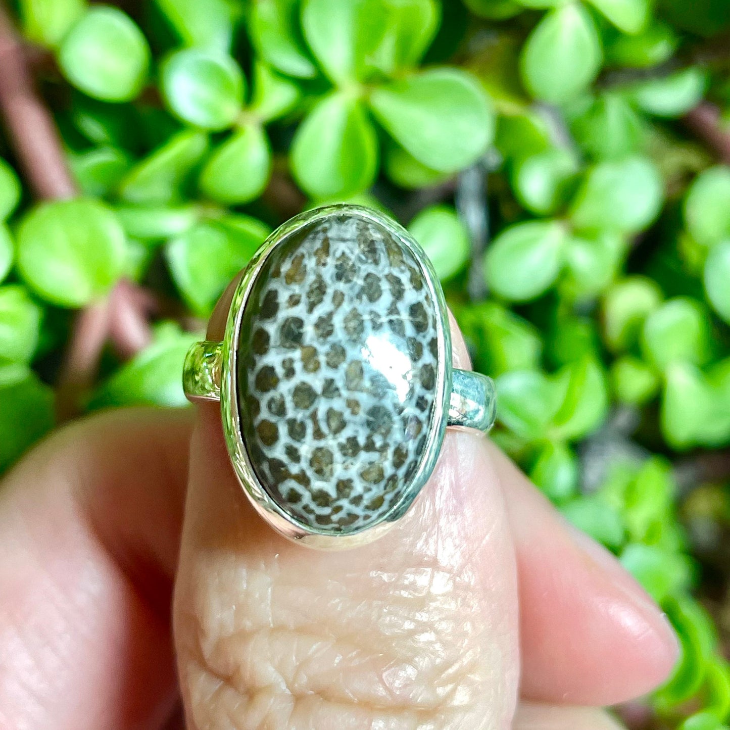 Fossilized Coral Ring