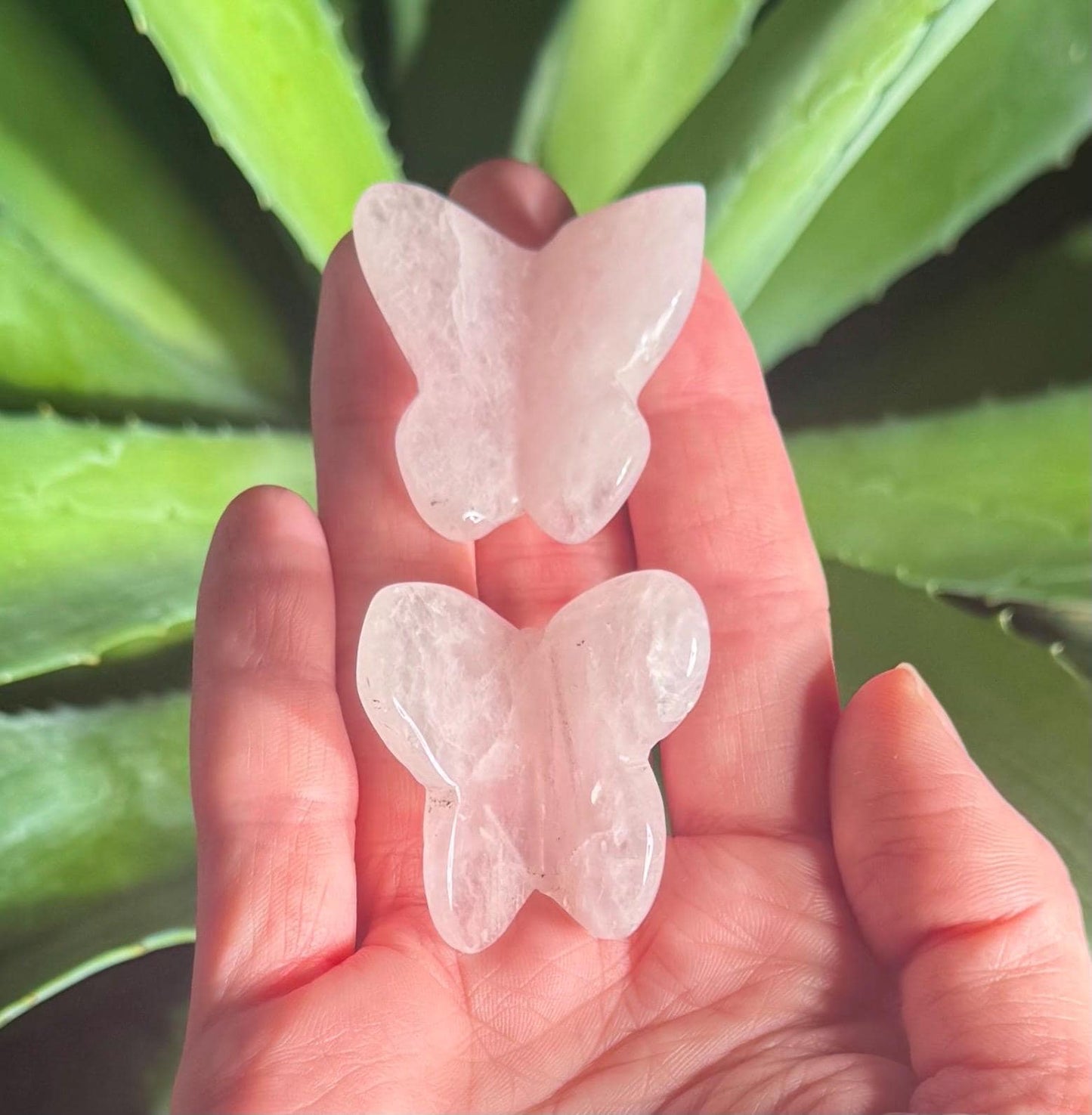 Beautiful Mini Crystal Butterfly