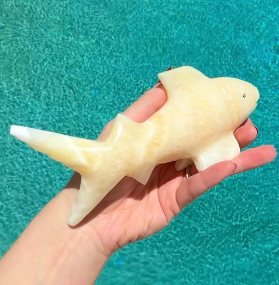 Onyx Shark Carving From Mexico