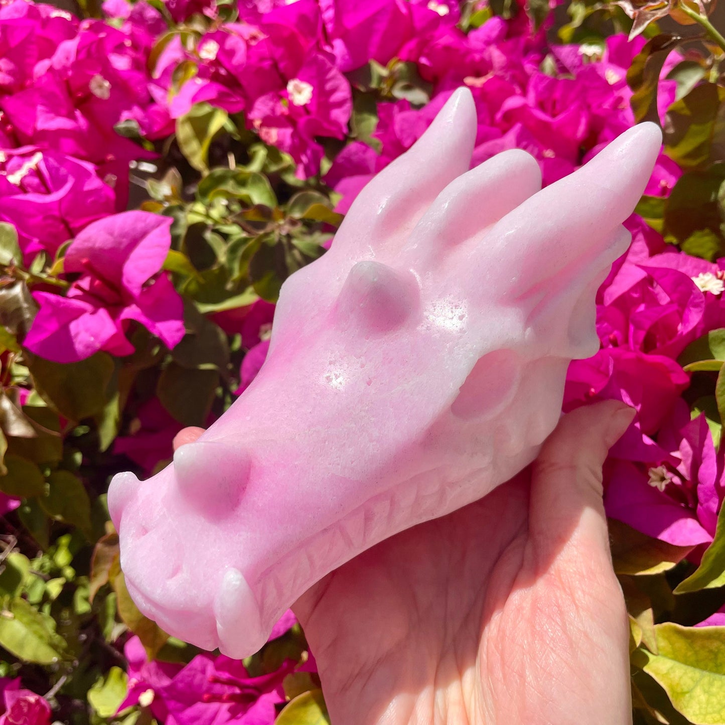 Stunning Pink Aragonite Dragon Head