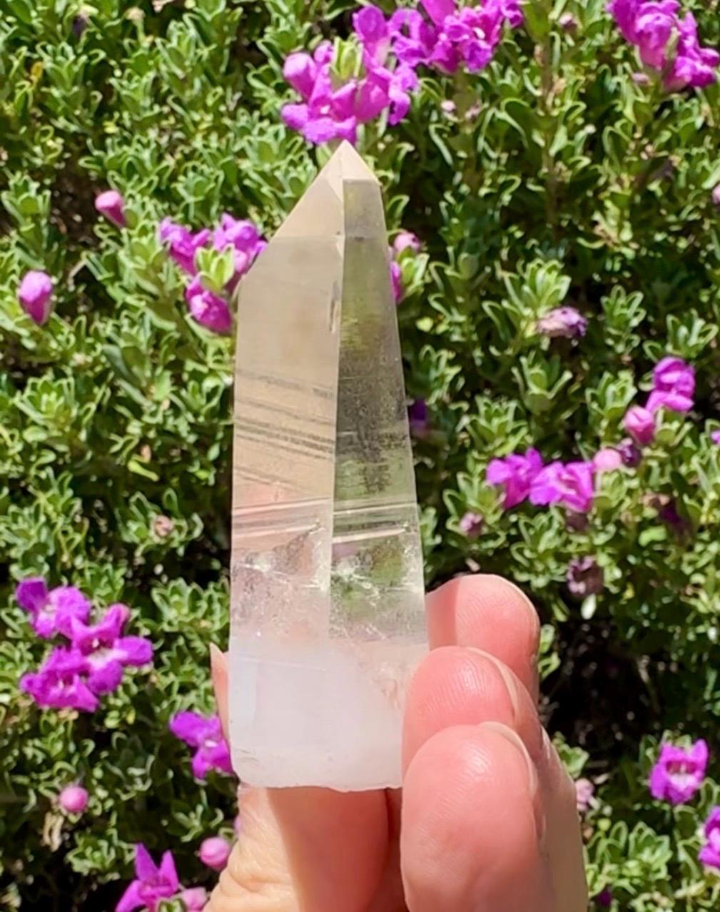 High Quality Colombian Lemurian