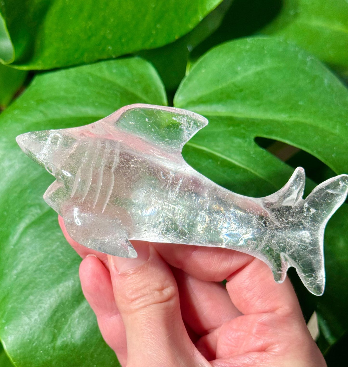 Clear Quartz Shark Carving