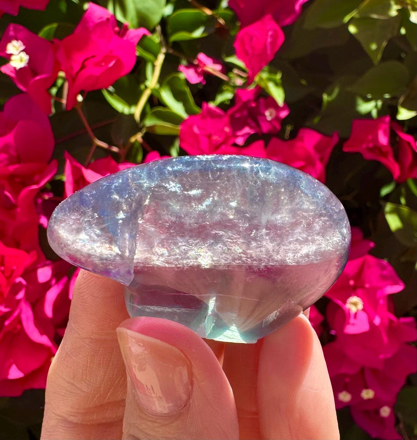 Mexican Fluorite Handcarved Mini Bear Zuni Totem Animal Carving