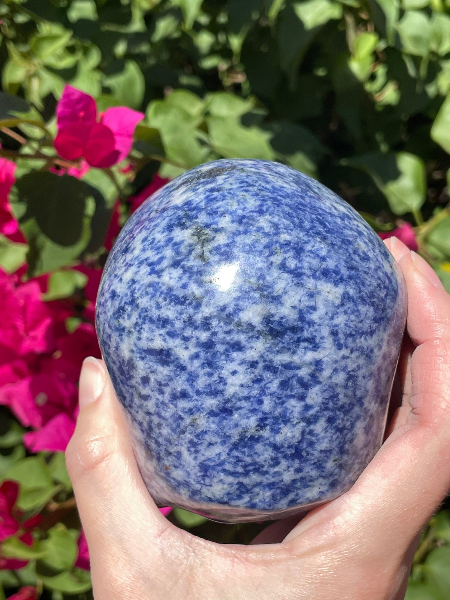 Huge Realistic Sodalite Skull