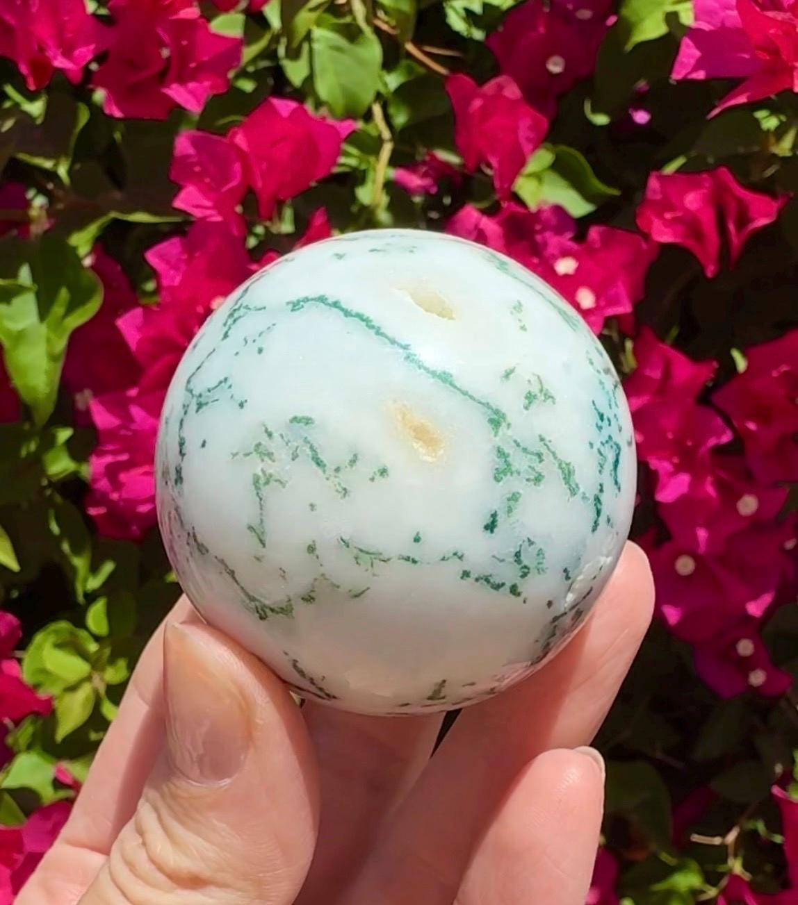 Tree Agate Sphere Crystal Ball