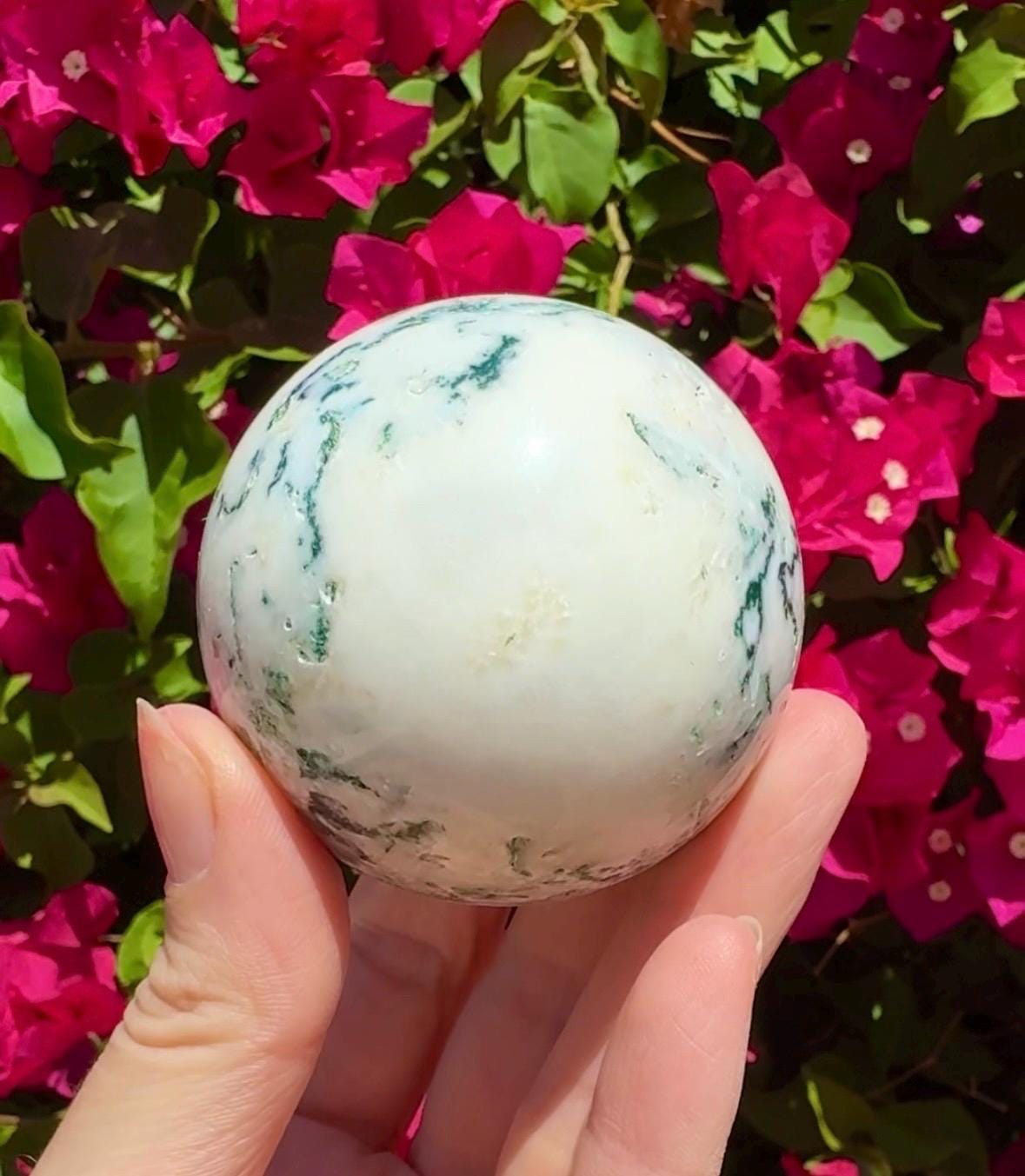 Tree Agate Sphere Crystal Ball
