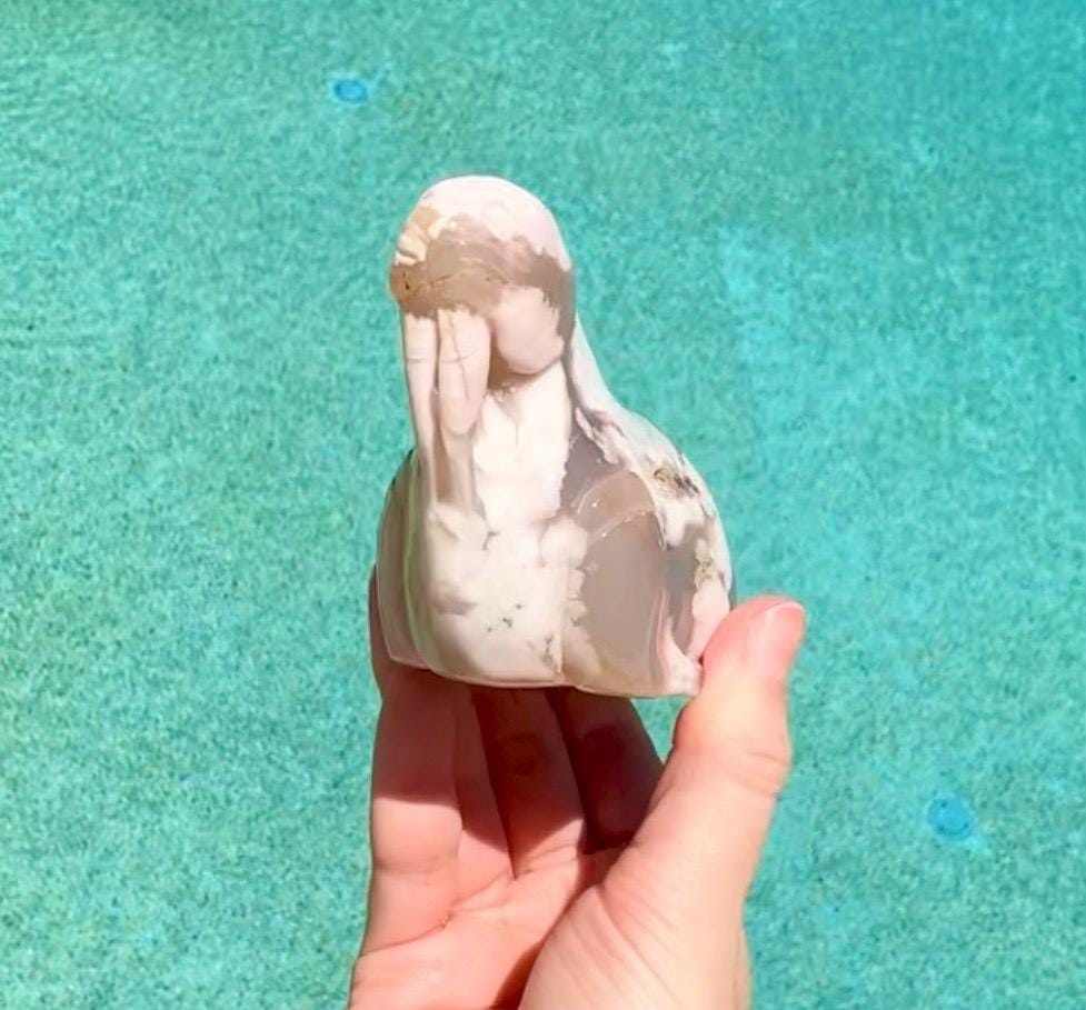 Flower Agate Walrus, Flower Agate Sea Lion Carving