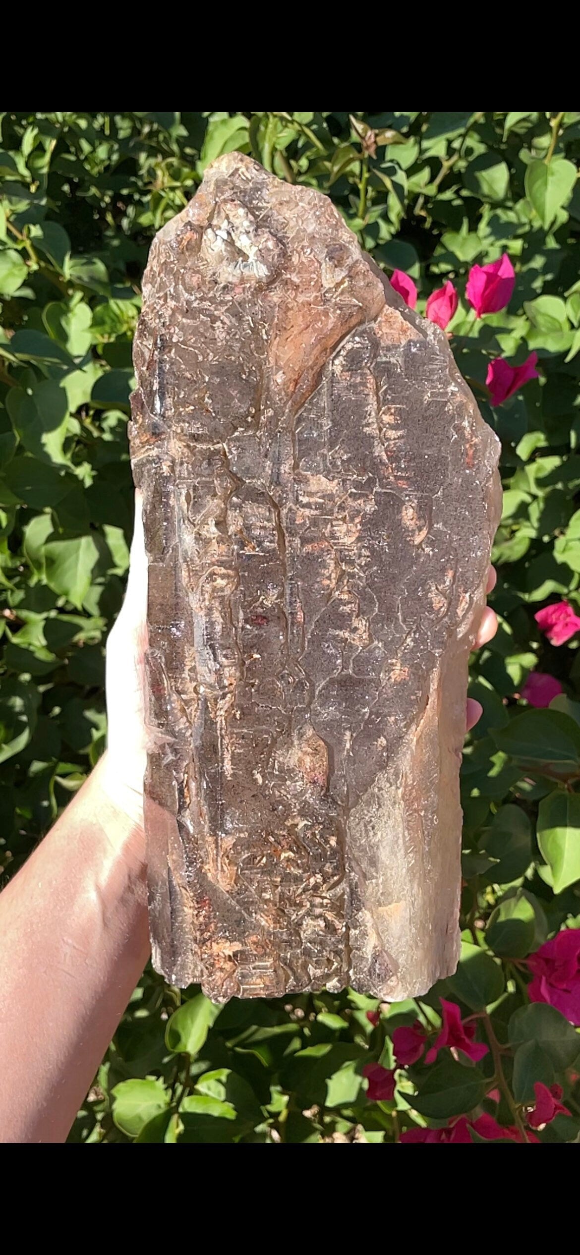 Elestial Smokey Quartz Crystal With Super Seven