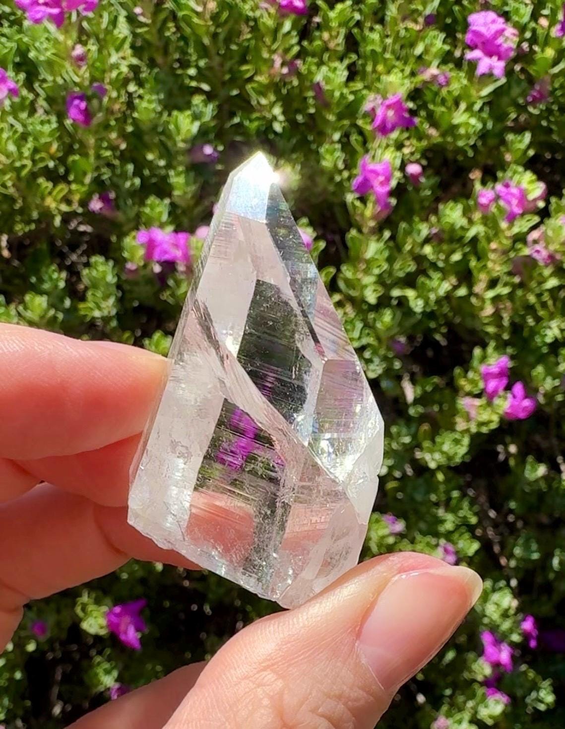 High Quality Colombian Lemurian