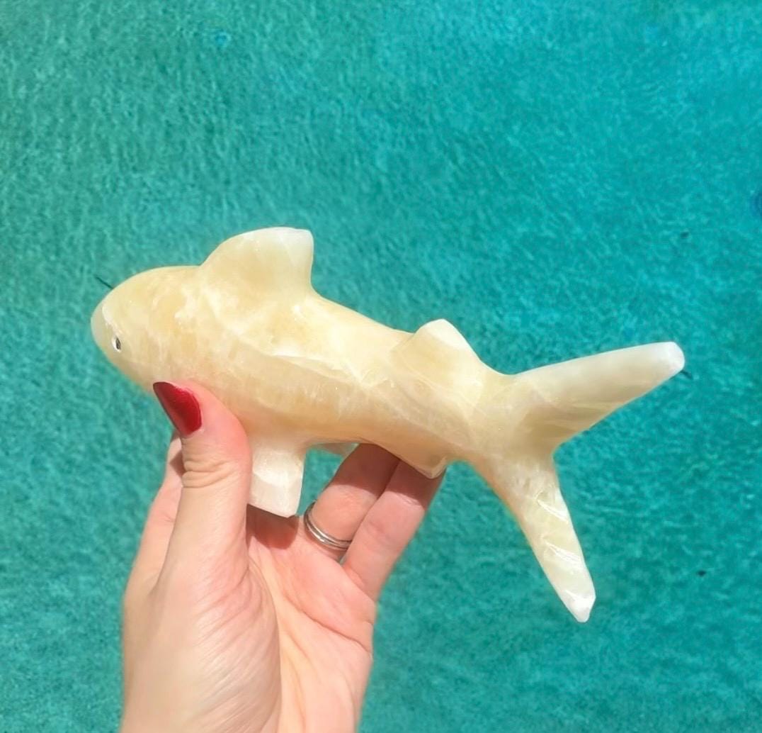 Onyx Shark Carving From Mexico