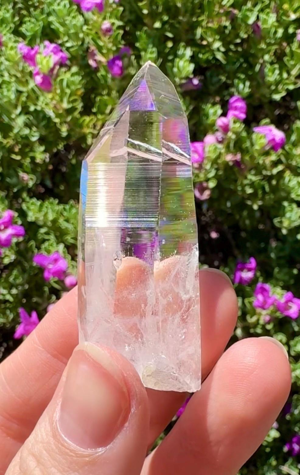 High Quality Colombian Lemurian