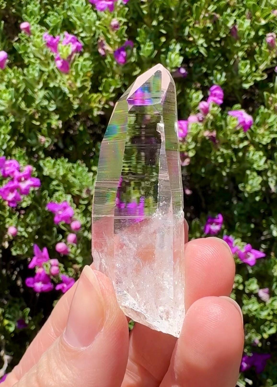 High Quality Colombian Lemurian