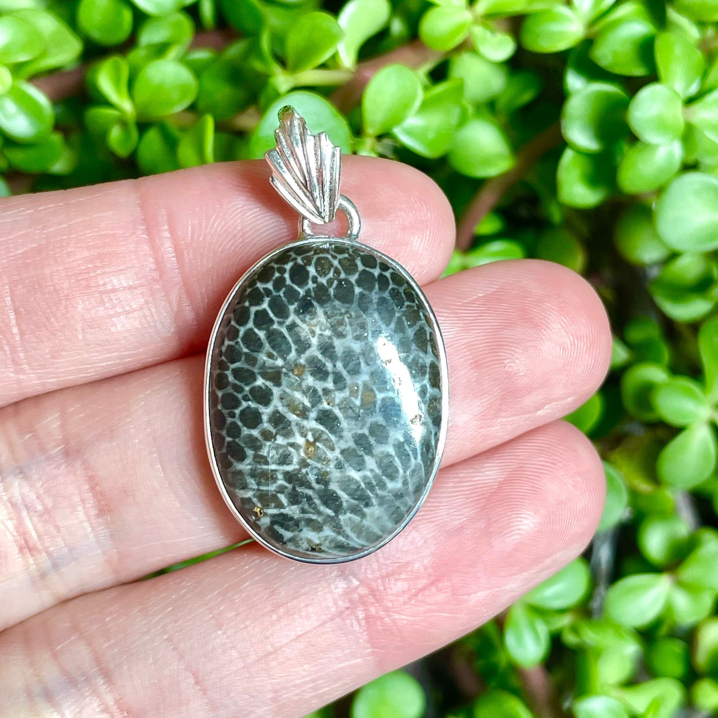 Fossilized Coral Pendant