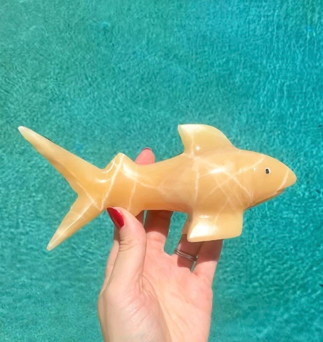 Onyx Shark Carving From Mexico