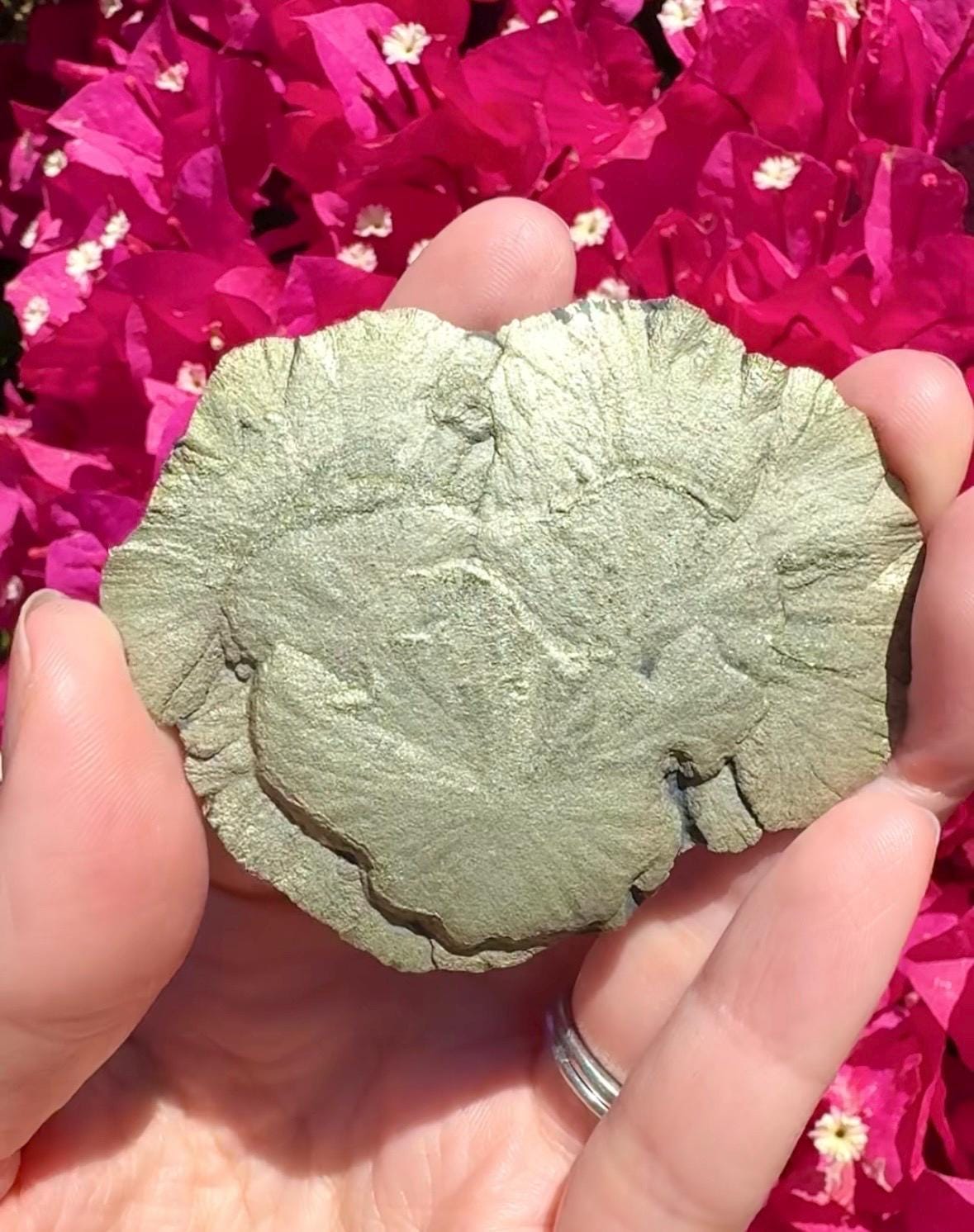 Pyrite Sun