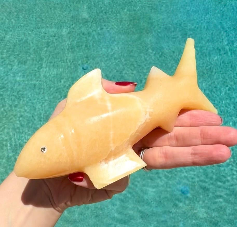 Onyx Shark Carving From Mexico