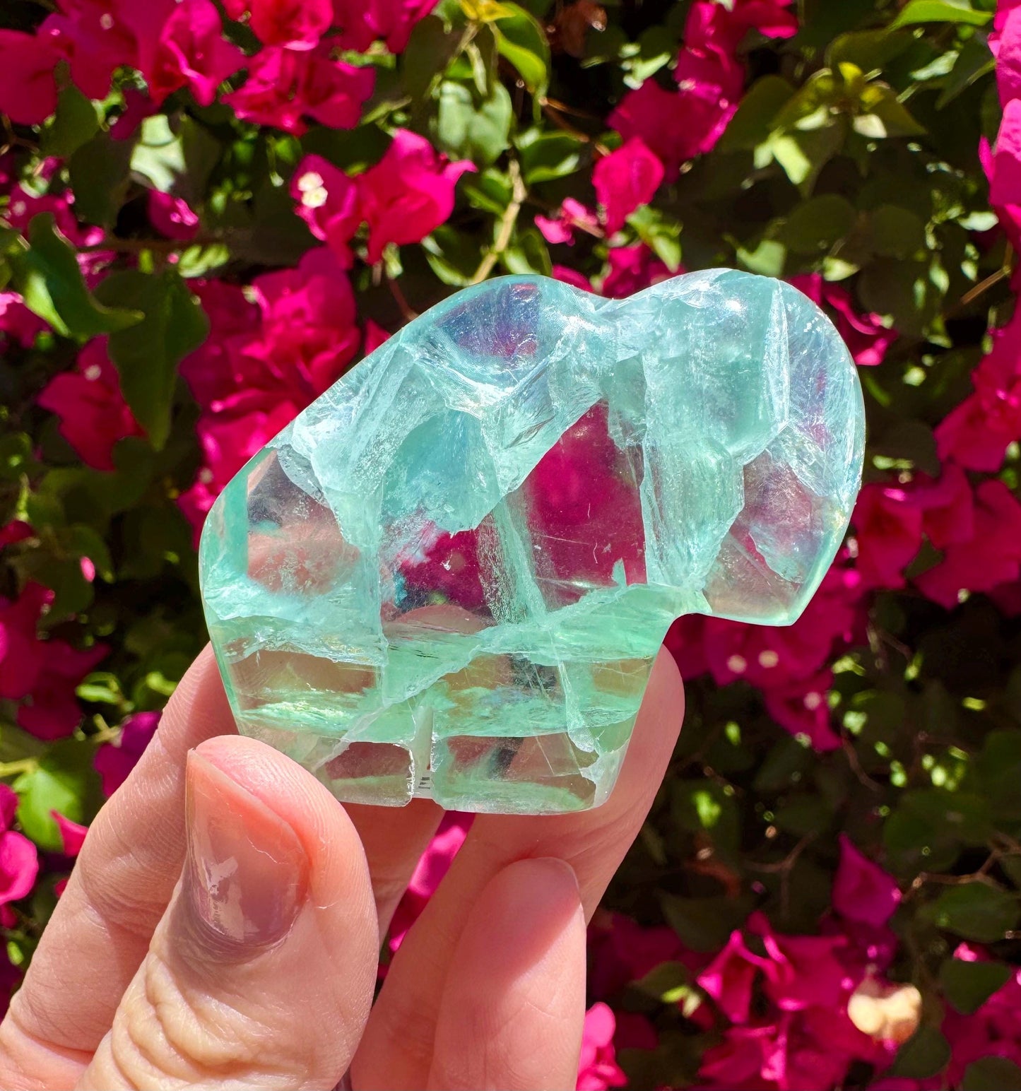 Mexican Fluorite Handcarved Buffalo Zuni Totem Animal Carving