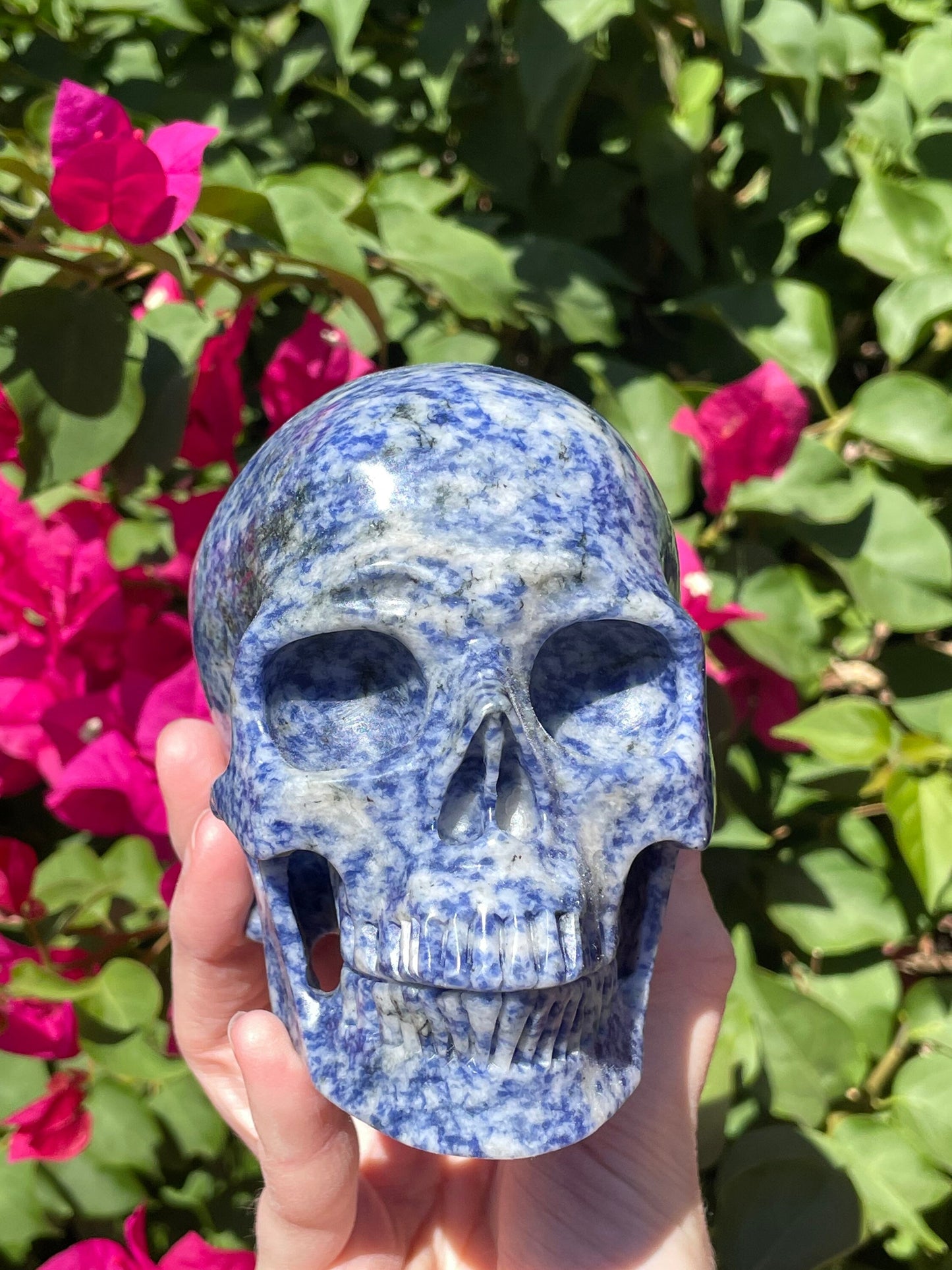 Huge Realistic Sodalite Skull