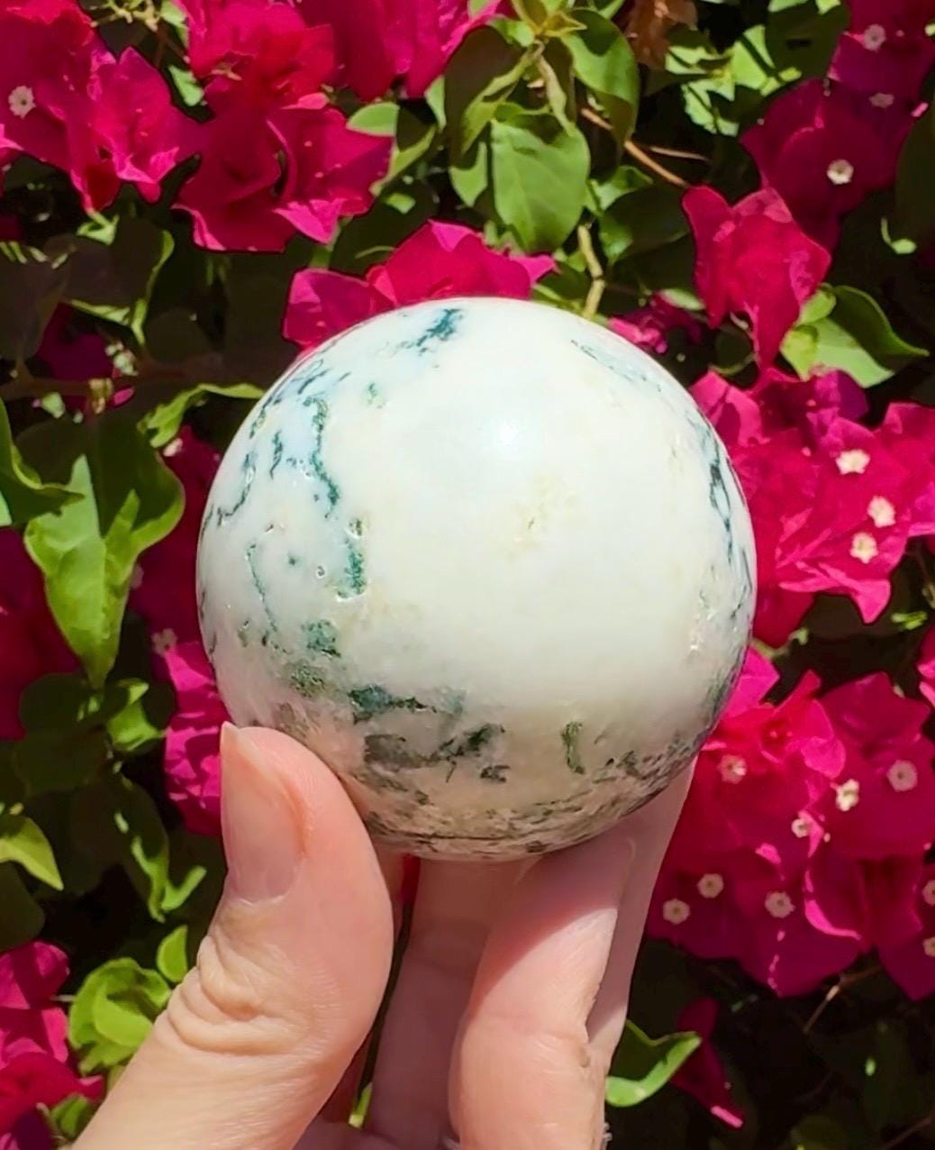 Tree Agate Sphere Crystal Ball