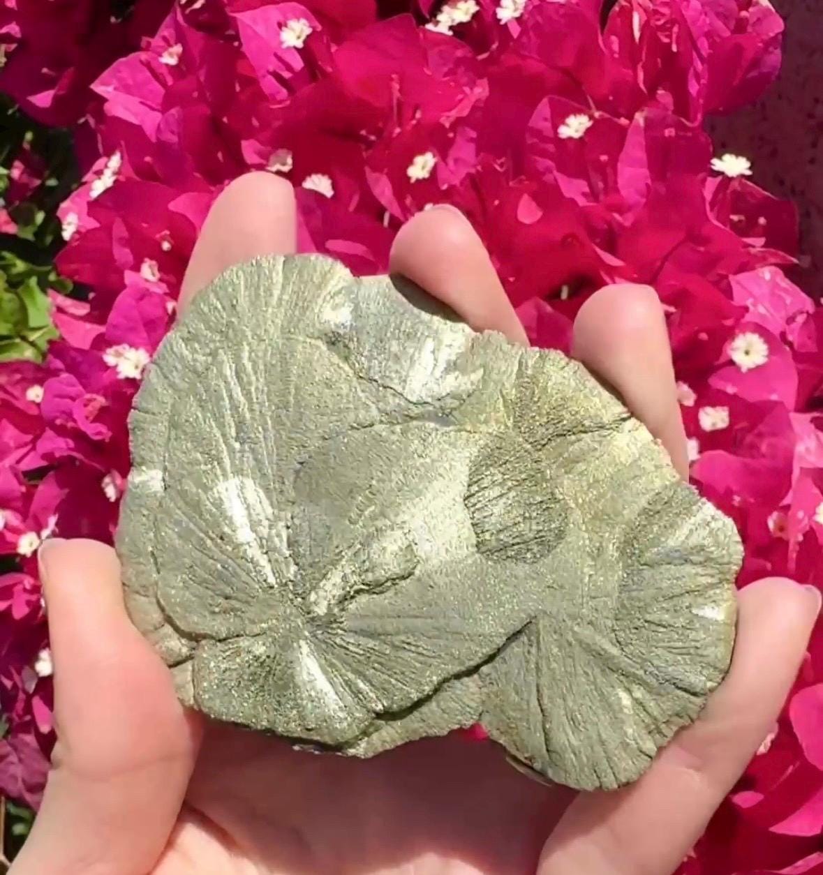 Pyrite Sun