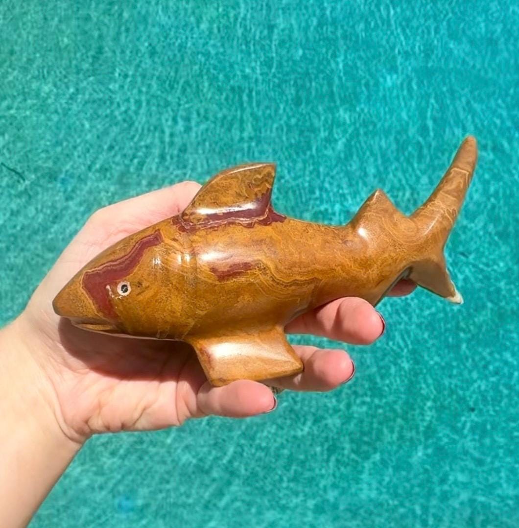Onyx Shark Carving From Mexico