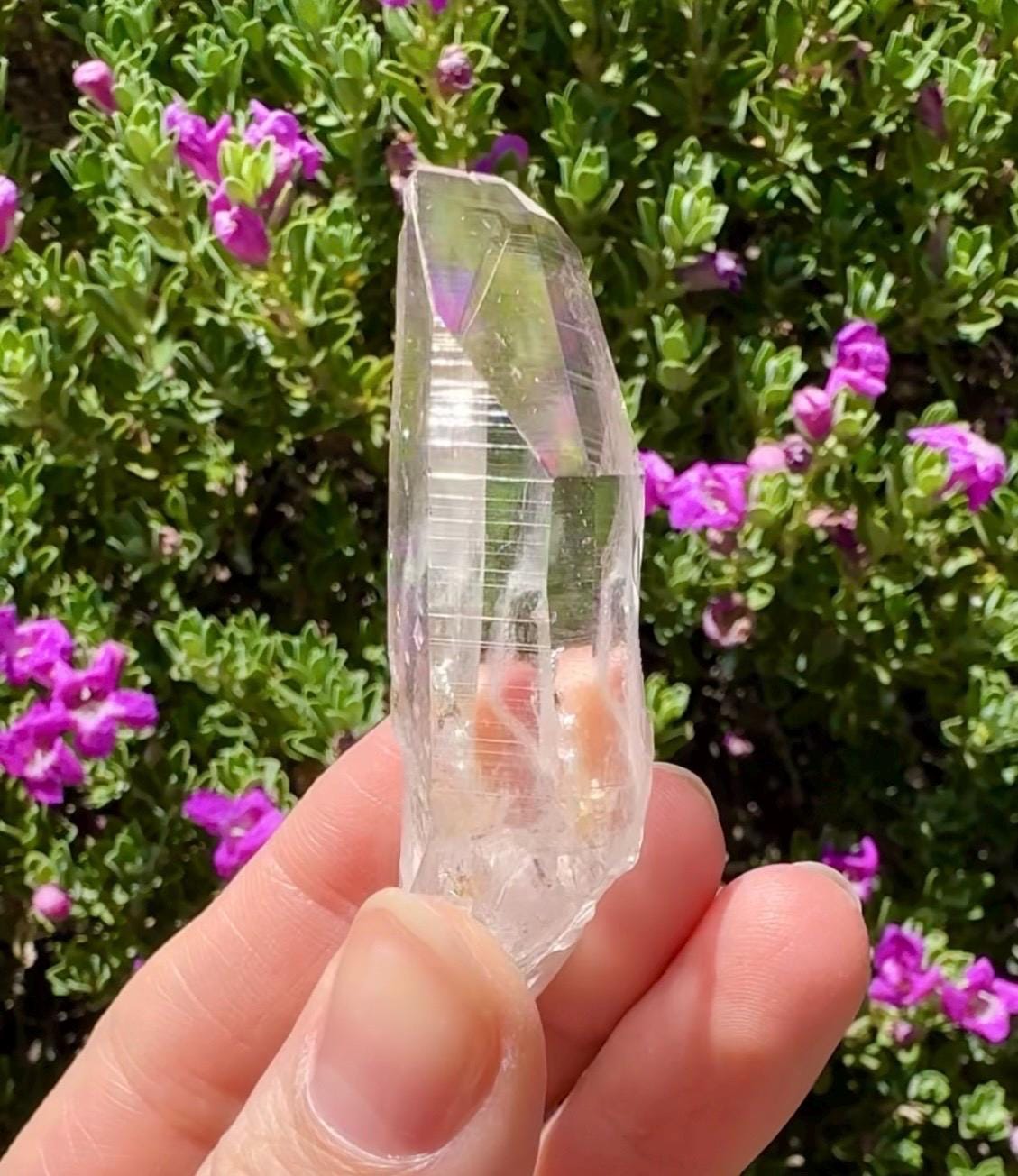 High Quality Colombian Lemurian
