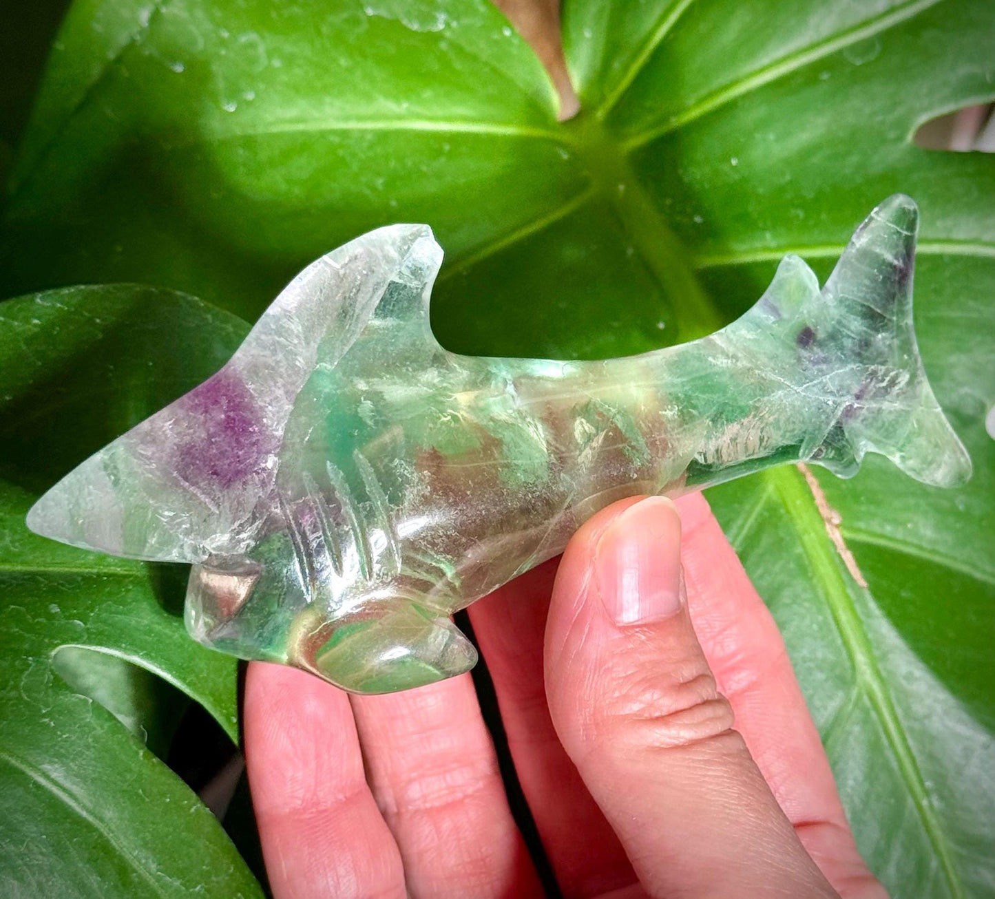 Rainbow Fluorite Shark Carving ***see description