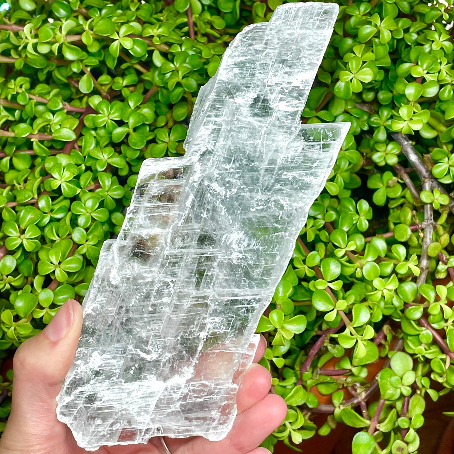 Genuine Selenite Slab