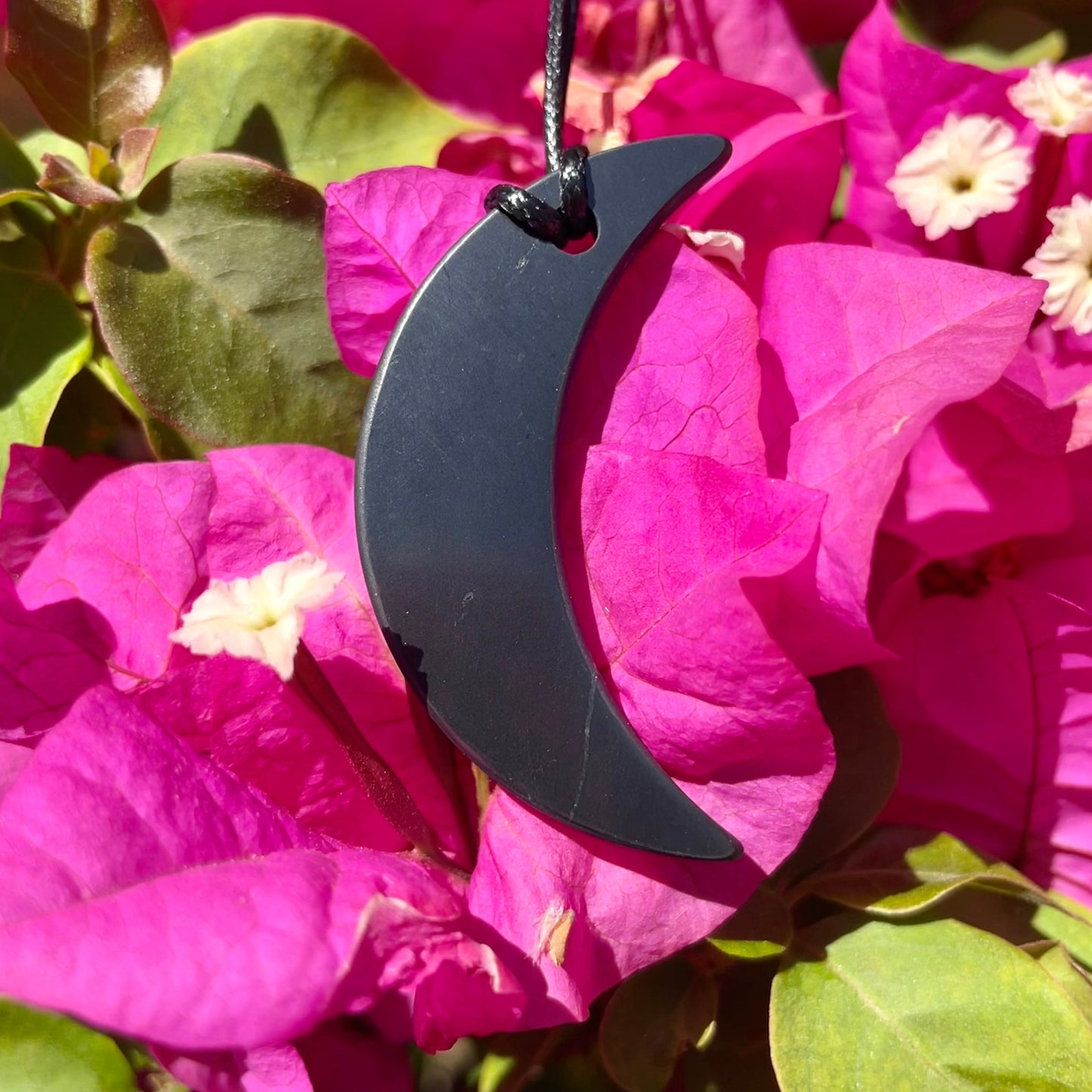 Shungite Moon Necklace