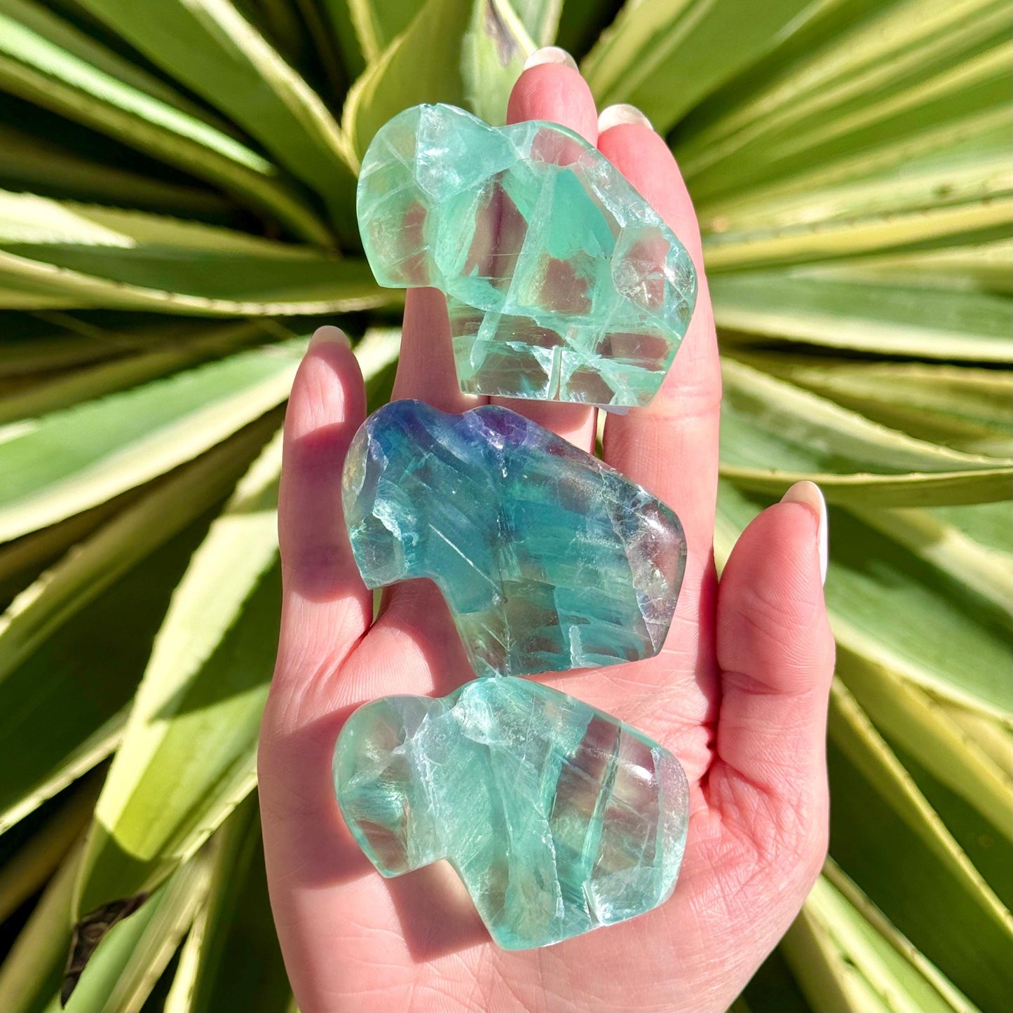 Mexican Fluorite Handcarved Buffalo Zuni Totem Animal Carving