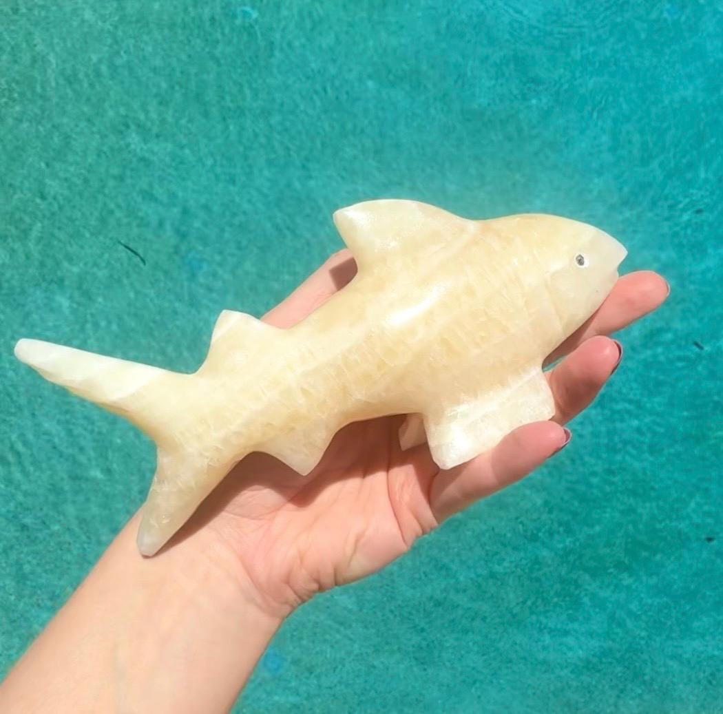 Onyx Shark Carving From Mexico