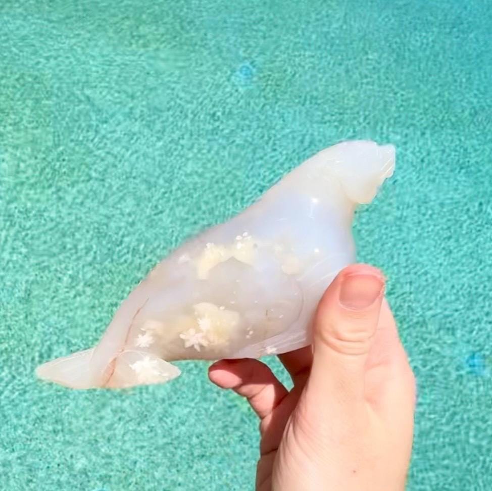 Flower Agate Sea Lion, Flower Agate Seal Carving