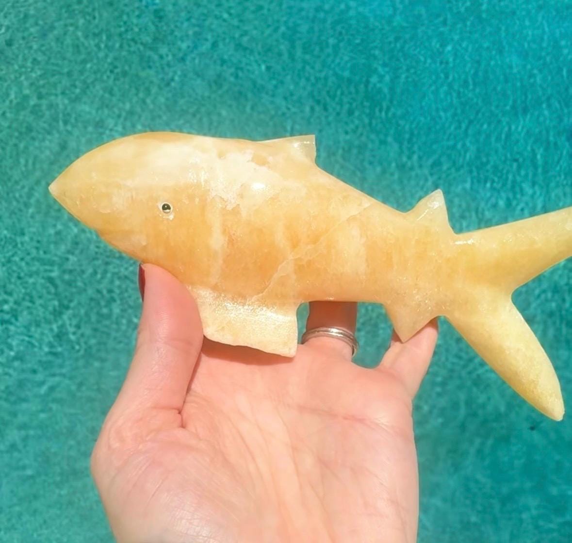 Onyx Shark Carving *Chipped Fin* From Mexico