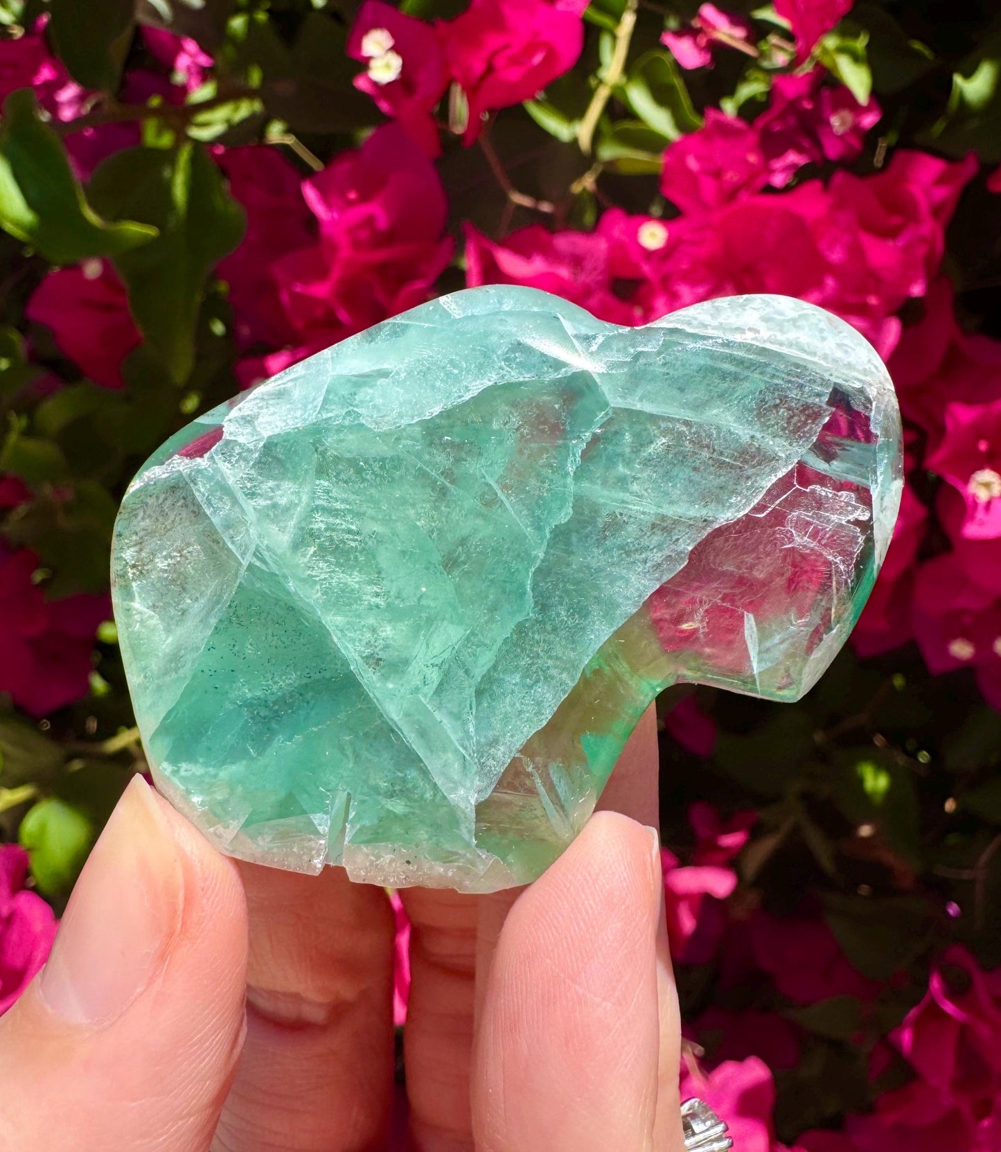 Mexican Fluorite Handcarved Buffalo Zuni Totem Animal Carving