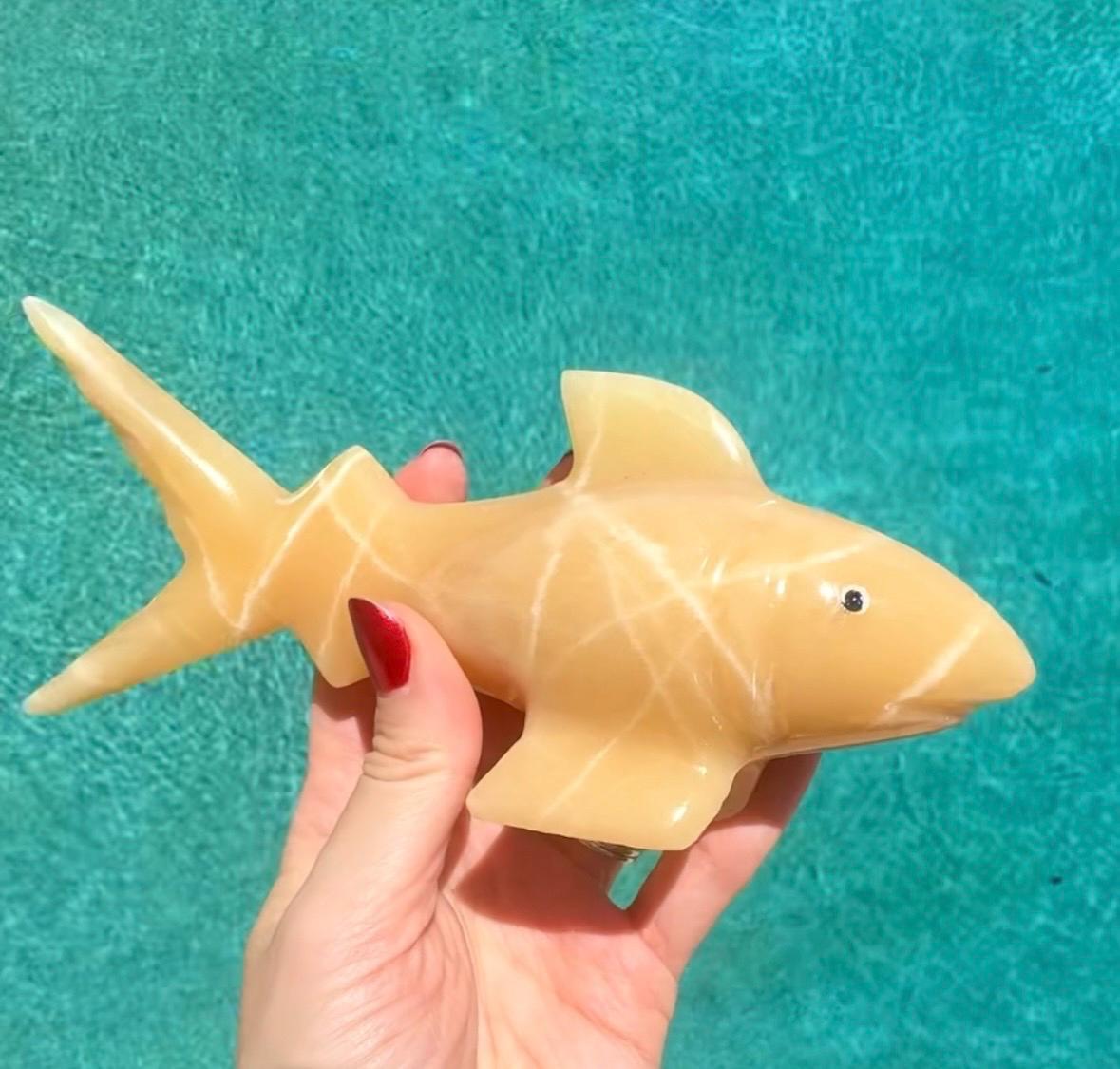 Onyx Shark Carving From Mexico