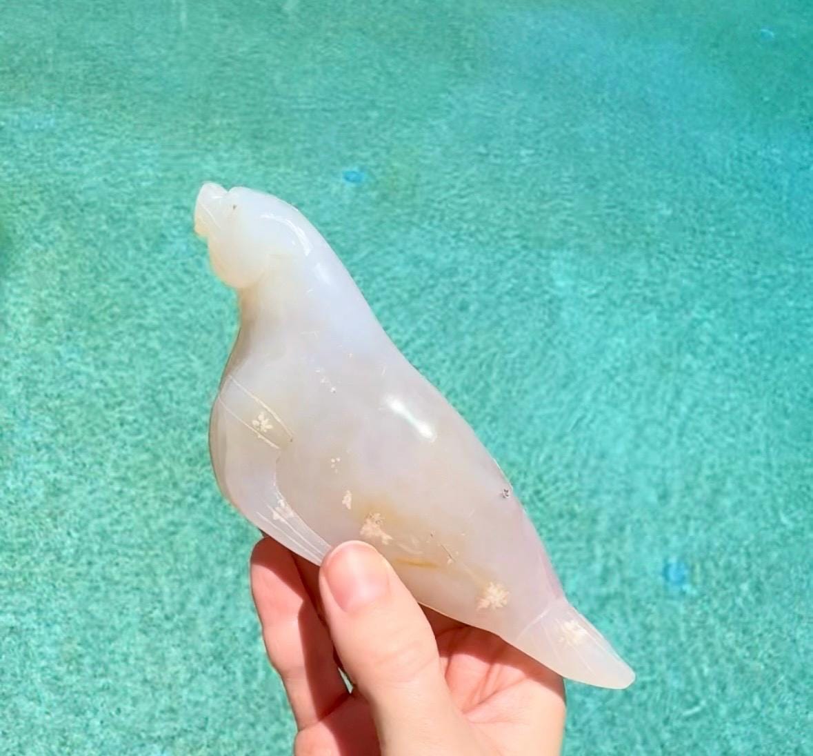 Flower Agate Sea Lion, Flower Agate Seal Carving