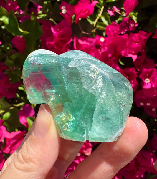Mexican Fluorite Handcarved Buffalo Zuni Totem Animal Carving