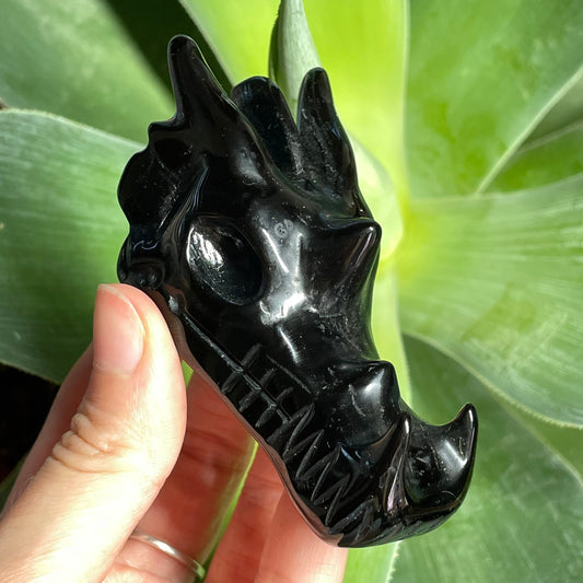 Obsidian Dragon Head