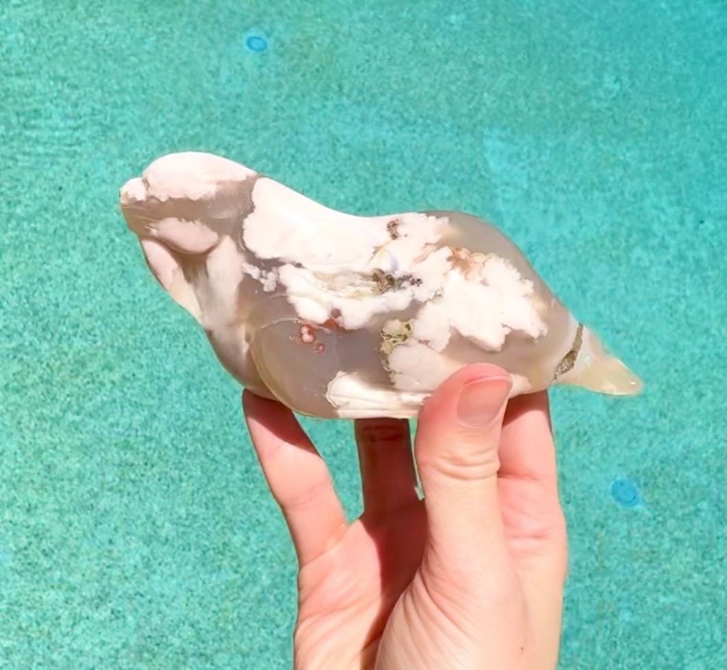 Flower Agate Walrus, Flower Agate Sea Lion Carving