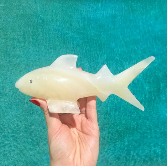 Onyx Shark Carving From Mexico