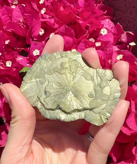 Pyrite Sun