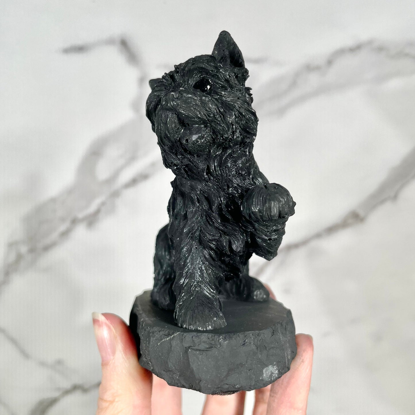 Shungite Terrier Dog